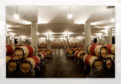 紅酒加工廠圖片