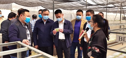 自治區(qū)發(fā)展改革委定點(diǎn)幫扶都安縣駐村工作隊(duì)赴南寧市、百色市開展鄉(xiāng)村振興調(diào)研