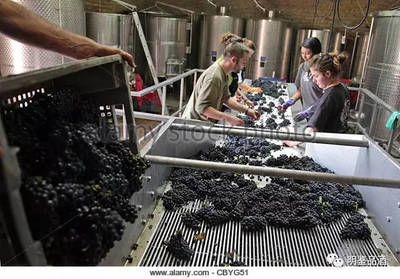 葡萄酒的價格差距為什么那么大?