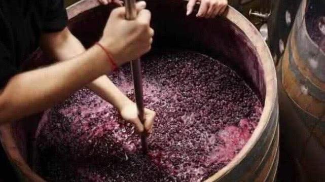 國(guó)外高端的葡萄酒,真是用腳踩出來的嗎?看完你還敢不敢喝